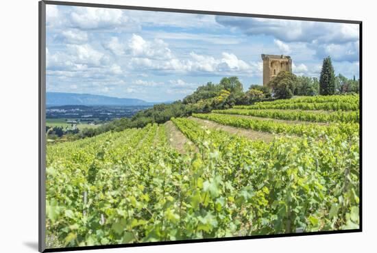 Vineyard, Rhone Valley, Ruins of castle, Chateauneuf du Pape, France-Jim Engelbrecht-Mounted Photographic Print