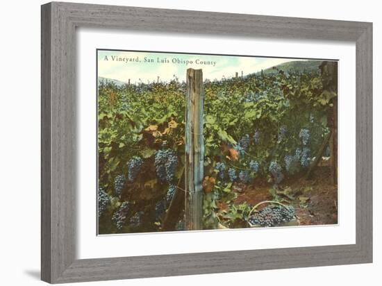 Vineyard, San Luis Obispo County-null-Framed Art Print