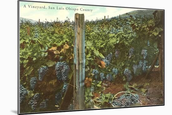 Vineyard, San Luis Obispo County-null-Mounted Art Print