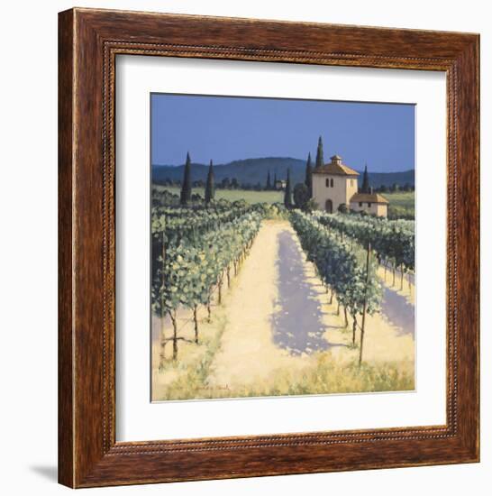 Vineyard Shadows-David Short-Framed Giclee Print