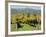 Vineyard, Sonoma County, California, USA-Ethel Davies-Framed Photographic Print