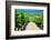 Vineyard, Strada in Chianti, Tuscany, Italy, Europe-Nico Tondini-Framed Photographic Print