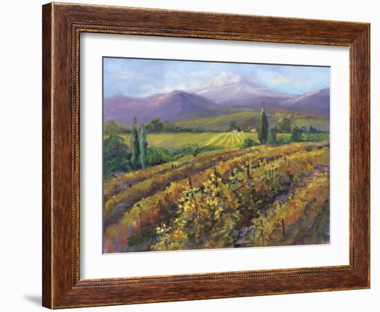 Vineyard Tapestry I-Nanette Oleson-Framed Art Print