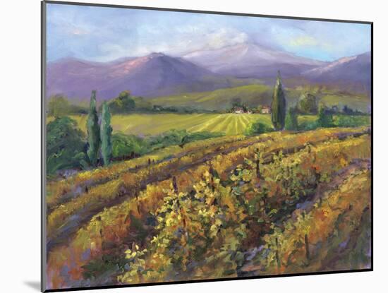 Vineyard Tapestry I-Nanette Oleson-Mounted Art Print