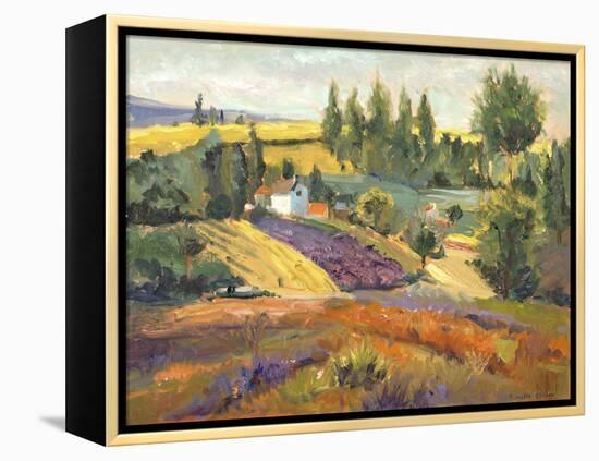 Vineyard Tapestry II-Nanette Oleson-Framed Stretched Canvas