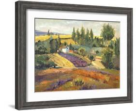 Vineyard Tapestry II-Nanette Oleson-Framed Art Print