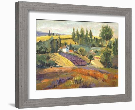 Vineyard Tapestry II-Nanette Oleson-Framed Art Print