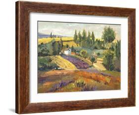 Vineyard Tapestry II-Nanette Oleson-Framed Art Print
