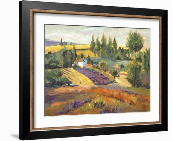 Vineyard Tapestry II-Nanette Oleson-Framed Art Print