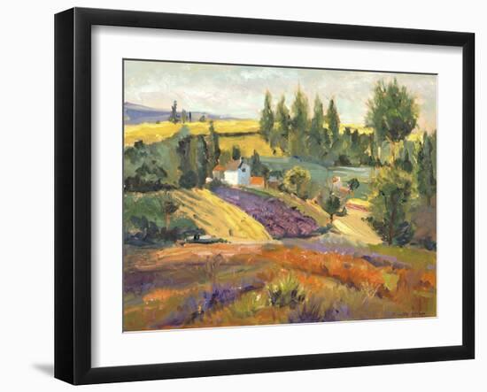 Vineyard Tapestry II-Nanette Oleson-Framed Art Print