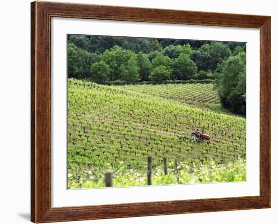 Vineyard Tractor in Vines at Chateau Soucherie of Pierre-Yves Tijou, Maine Et Loire, France-Per Karlsson-Framed Photographic Print