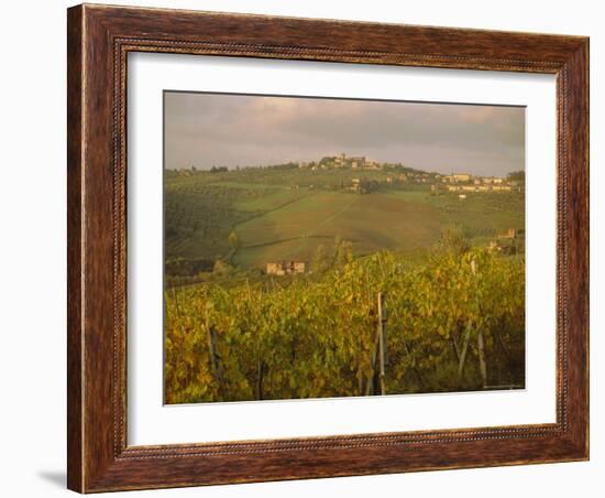 Vineyard, Tuscany, Italy, Europe-Firecrest Pictures-Framed Photographic Print