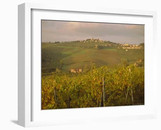 Vineyard, Tuscany, Italy, Europe-Firecrest Pictures-Framed Photographic Print