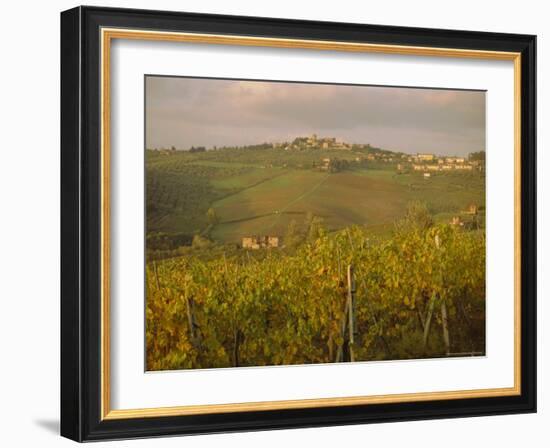 Vineyard, Tuscany, Italy, Europe-Firecrest Pictures-Framed Photographic Print