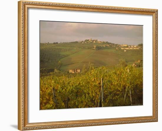 Vineyard, Tuscany, Italy, Europe-Firecrest Pictures-Framed Photographic Print