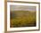 Vineyard, Tuscany, Italy, Europe-Firecrest Pictures-Framed Photographic Print