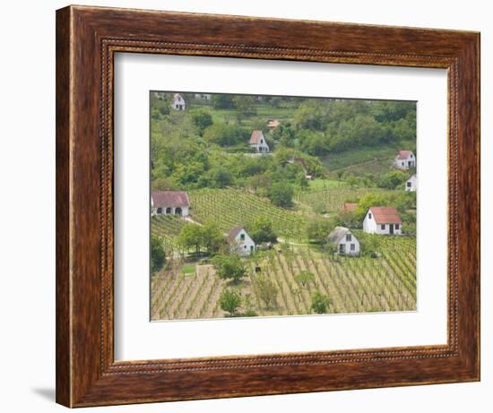 Vineyard View from Calvary Hill, Southern Transdanubia, Hungary-Walter Bibikow-Framed Photographic Print