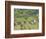 Vineyard View from Calvary Hill, Southern Transdanubia, Hungary-Walter Bibikow-Framed Photographic Print