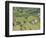 Vineyard View from Calvary Hill, Southern Transdanubia, Hungary-Walter Bibikow-Framed Photographic Print