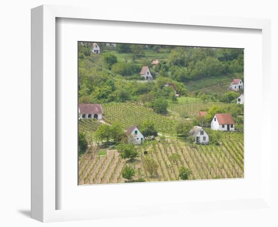 Vineyard View from Calvary Hill, Southern Transdanubia, Hungary-Walter Bibikow-Framed Photographic Print