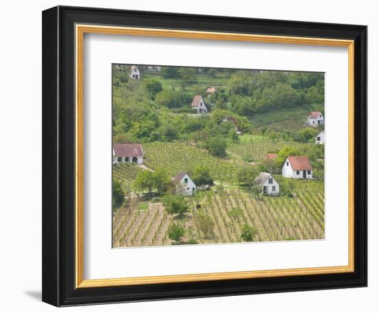 Vineyard View from Calvary Hill, Southern Transdanubia, Hungary-Walter Bibikow-Framed Photographic Print