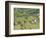 Vineyard View from Calvary Hill, Southern Transdanubia, Hungary-Walter Bibikow-Framed Photographic Print