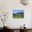 Vineyard, Vincenza, Veneto, Italy, Europe-Vincenzo Lombardo-Photographic Print displayed on a wall