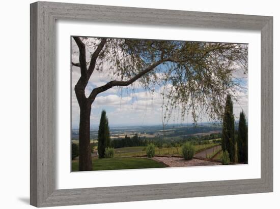 Vineyard Vista-Erin Berzel-Framed Photographic Print