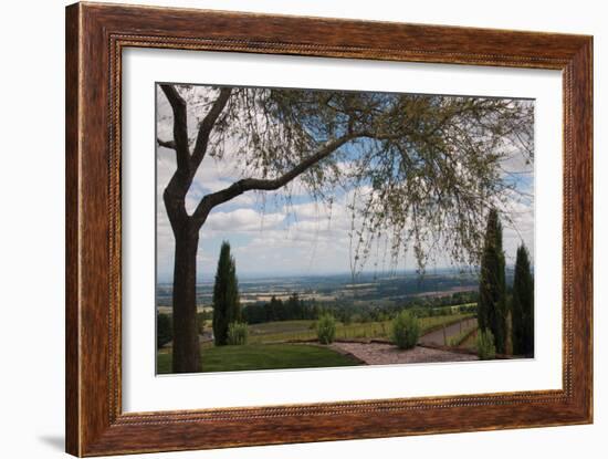 Vineyard Vista-Erin Berzel-Framed Photographic Print