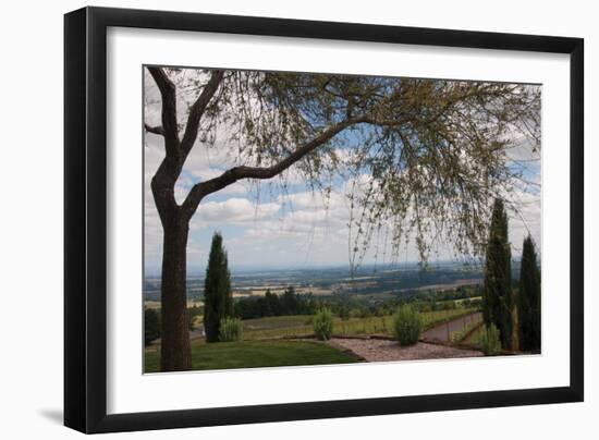 Vineyard Vista-Erin Berzel-Framed Photographic Print