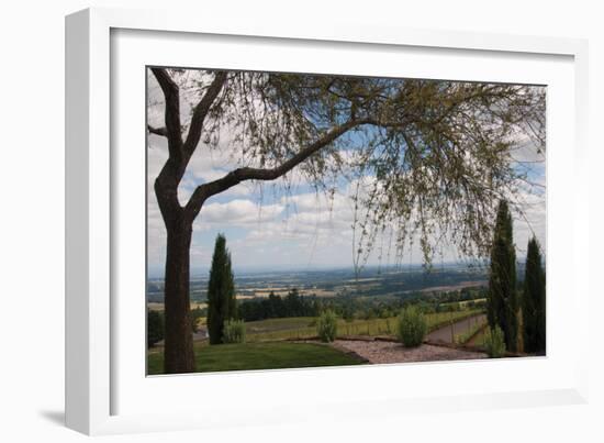 Vineyard Vista-Erin Berzel-Framed Photographic Print