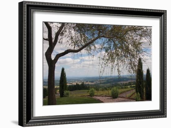 Vineyard Vista-Erin Berzel-Framed Photographic Print