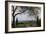 Vineyard Vista-Erin Berzel-Framed Photographic Print