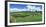 Vineyard, Whangarei, Northland, New Zealand-Panoramic Images-Framed Photographic Print