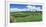 Vineyard, Whangarei, Northland, New Zealand-Panoramic Images-Framed Photographic Print