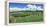 Vineyard, Whangarei, Northland, New Zealand-Panoramic Images-Framed Premier Image Canvas