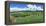 Vineyard, Whangarei, Northland, New Zealand-Panoramic Images-Framed Premier Image Canvas