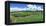 Vineyard, Whangarei, Northland, New Zealand-Panoramic Images-Framed Premier Image Canvas