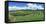 Vineyard, Whangarei, Northland, New Zealand-Panoramic Images-Framed Premier Image Canvas