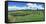 Vineyard, Whangarei, Northland, New Zealand-Panoramic Images-Framed Premier Image Canvas