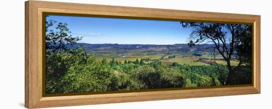 Vineyard, Wine Country, California, USA-Panoramic Images-Framed Premier Image Canvas