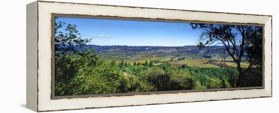 Vineyard, Wine Country, California, USA-Panoramic Images-Framed Premier Image Canvas