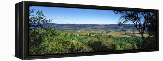 Vineyard, Wine Country, California, USA-Panoramic Images-Framed Premier Image Canvas