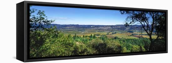 Vineyard, Wine Country, California, USA-Panoramic Images-Framed Premier Image Canvas