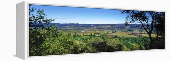 Vineyard, Wine Country, California, USA-Panoramic Images-Framed Premier Image Canvas