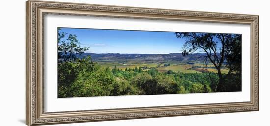 Vineyard, Wine Country, California, USA-Panoramic Images-Framed Premium Photographic Print