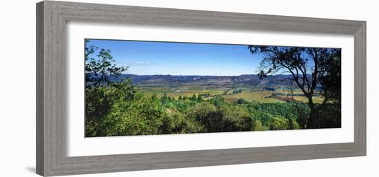 Vineyard, Wine Country, California, USA-Panoramic Images-Framed Photographic Print