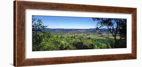 Vineyard, Wine Country, California, USA-Panoramic Images-Framed Photographic Print