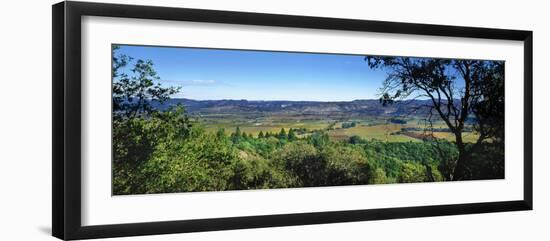 Vineyard, Wine Country, California, USA-Panoramic Images-Framed Photographic Print
