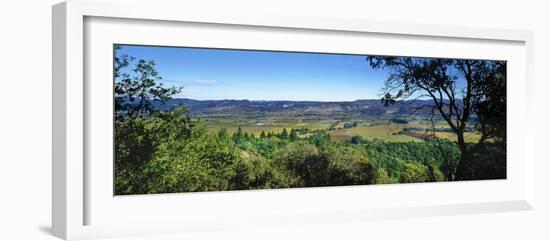 Vineyard, Wine Country, California, USA-Panoramic Images-Framed Photographic Print